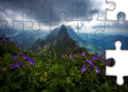 Góry, Niebo, Kwiaty