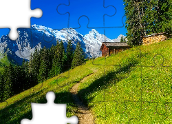 Góry, Alpy Berneńskie, Wengen, Dom, Las, Ścieżka, Szwajcaria