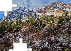 Góry, Drzewa, Rośliny, Kamienie