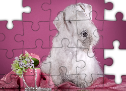 Sealyham Terrier, Pudełko, Kwiatki, Perły