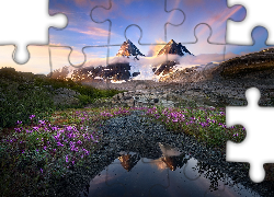 Góry, Śnieg, Chmury, Roślinność, Kwiaty, Woda