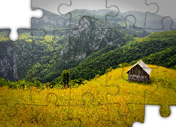 Rumunia, Góry, Lasy, Drewniana, Chatka