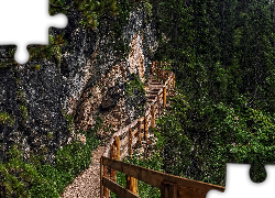 Góry, Drzewa, Szlak, Turystyczny