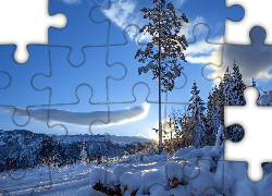 Zima, Śnieg, Drzewa, Góry