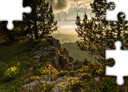 Góry, Drzewa, Niebo