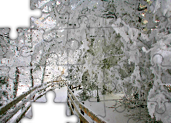 Zima, Szadz, Droga, Ogrodzenie