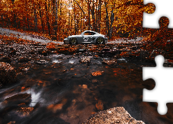 Srebrne, Porsche, Jesienny, Las