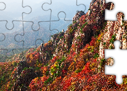 Jesień, Góry, Kolorowe, Krzewy