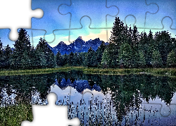 Jezioro, Góry, Drzewa, Roślinność, Odbicie