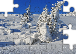 Zima, Śnieg, Świerki