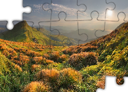 Krajobraz, Góry, Trawy, Słońce