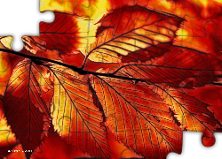 Czerwone, Liście, Fractalius