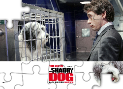 The Shaggy Dog, schronisko, pies, klatka, mężczyzna