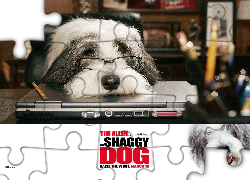 The Shaggy Dog, pies, okulary, komputer, biuro