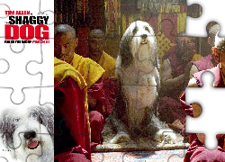 The Shaggy Dog, pies, buddyzm, Azjaci, modły