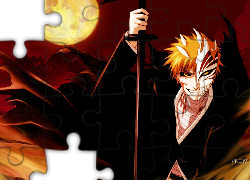 Kurosaki Ichigo, Hollow