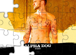 Justin Timberlake, Alpha Dog