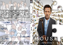Dr. House, Season, 1