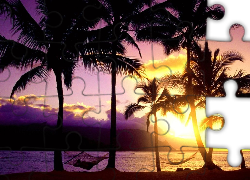 Hawaje, Palmy, Zachód Słońca