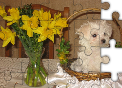Maltańczyk, Maltese, koszyk, żółte, kwiaty