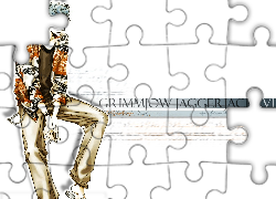 Bleach, Grimmjow Jaggerjack, Postać