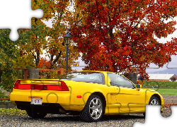 Żółta, Acura NSX, Jesień