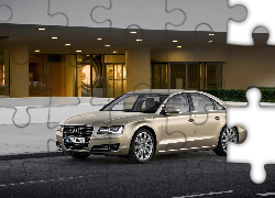 Audi A8 D4, Reklama, Katalog