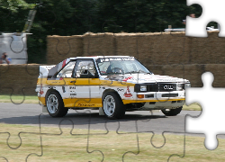 Audi Quattro, Sport, Wyścig