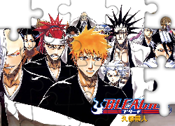 Bohaterowie, Z, Bleach