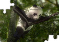 Miś, Panda, Drzewo