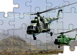 Mi-17, Helikopter, Transportowy