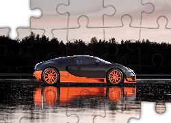 Bugatti Veyron, Wersja, 16.4 Super Sport