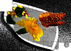 Motyl, Kwiatek, 4D
