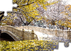 Central Park, Nowy York, Jesień