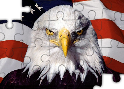Flaga, Stanów Zjednoczonych, Bielik amerykański