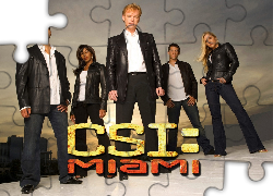 Serial, CSI Kryminalne zagadki Miami, Aktorzy