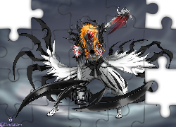 Hollow, Kurosaki, Bleach