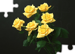 Żółte, Róże, Liście