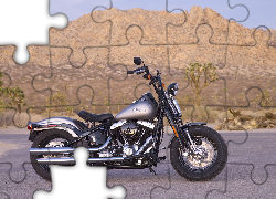 Harley Davidson Softail Cross Bones, Bak, Paliwa