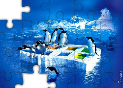 Windows XP, Pingwiny, Logo, Lód