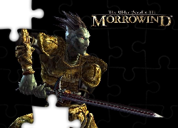 The Elder Scrolls III: Morrowind, Miecz
