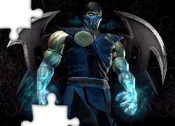 Mortal Kombat: Deadly Alliance, Sub-Zero