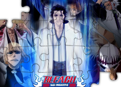 Vizard, Aizen, Shinigami