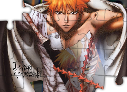 Ichigo Kurosaki, Bleach