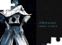 Grimmjow, Plecy, Numer 6