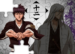 Shiba, Kaien, Ukitake, Cień