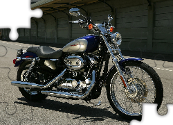 Harley Davidson Sportster XL1200C, Bak, Paliwa