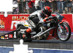 Harley Davidson V-Rod Muscle Drag, Wyścig