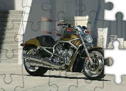 Oliwkowy, Harley Davidson V-Rod