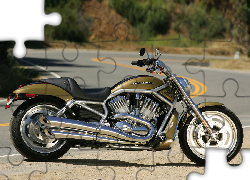 Harley Davidson V-Rod, Unikalne, Malowanie